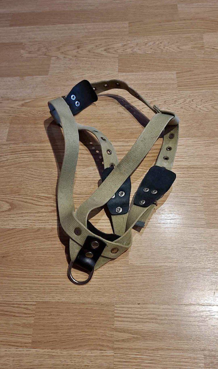 Шлейки для собак